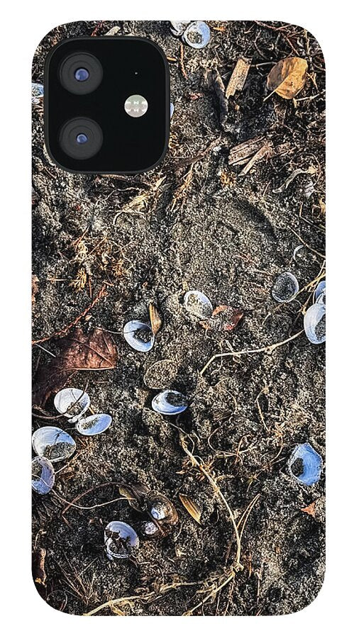 Seashells on the beach - Phone Case