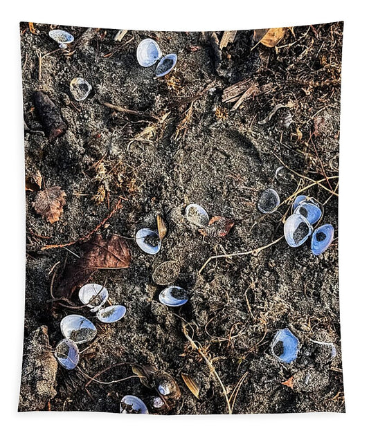 Seashells on the beach - Tapestry