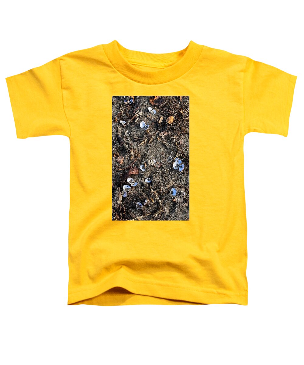 Seashells on the beach - Toddler T-Shirt