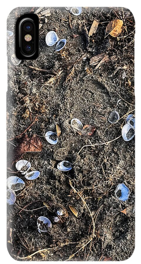Seashells on the beach - Phone Case