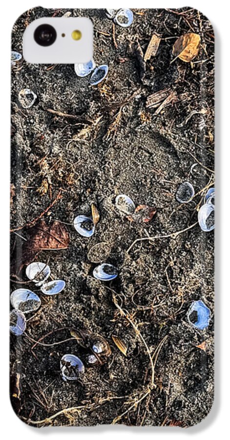 Seashells on the beach - Phone Case
