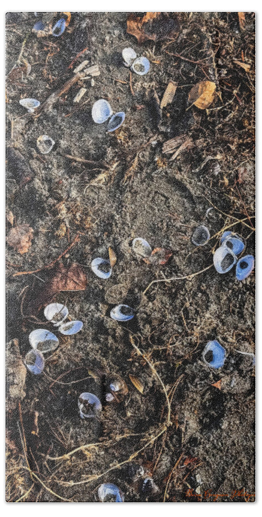 Seashells on the beach - Beach Towel