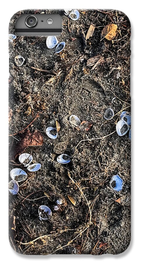 Seashells on the beach - Phone Case