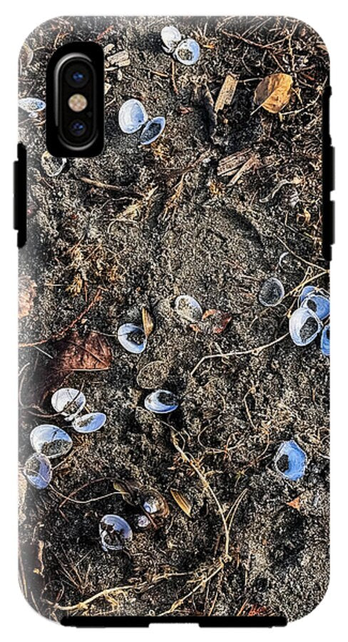 Seashells on the beach - Phone Case