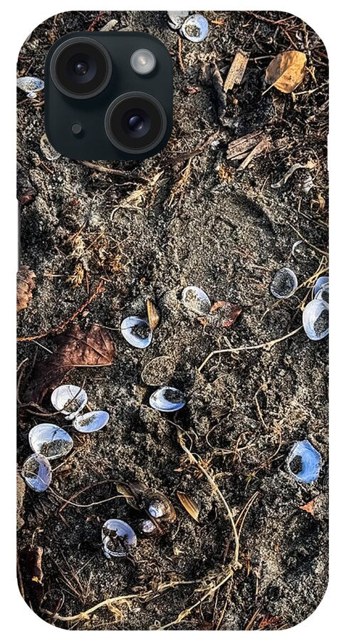 Seashells on the beach - Phone Case