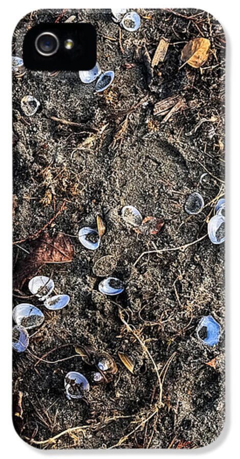 Seashells on the beach - Phone Case