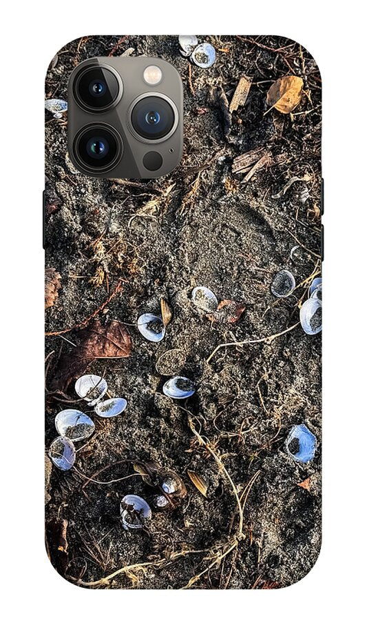 Seashells on the beach - Phone Case