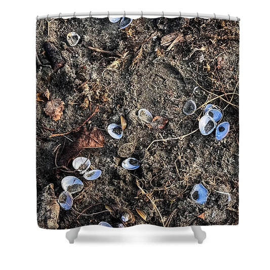 Seashells on the beach - Shower Curtain