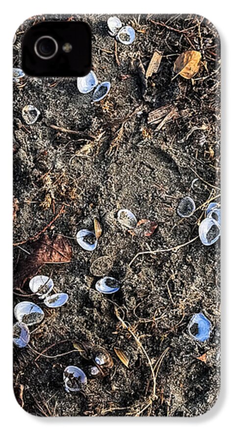 Seashells on the beach - Phone Case
