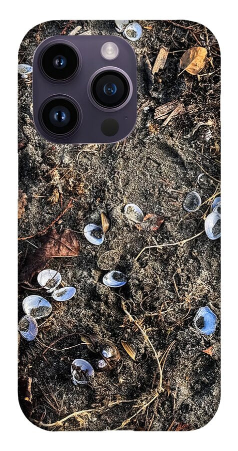Seashells on the beach - Phone Case