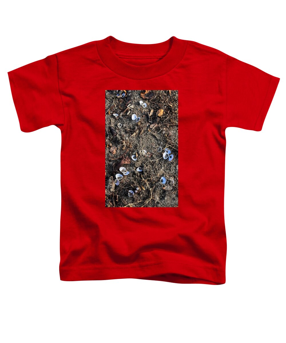 Seashells on the beach - Toddler T-Shirt