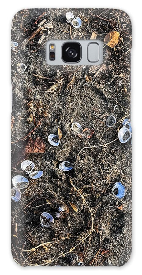 Seashells on the beach - Phone Case