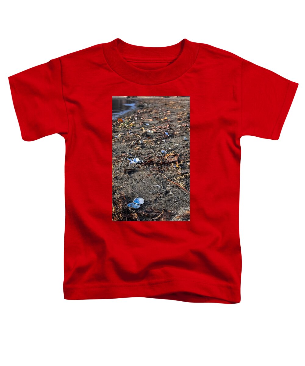 Seashells on the shoreline  - Toddler T-Shirt