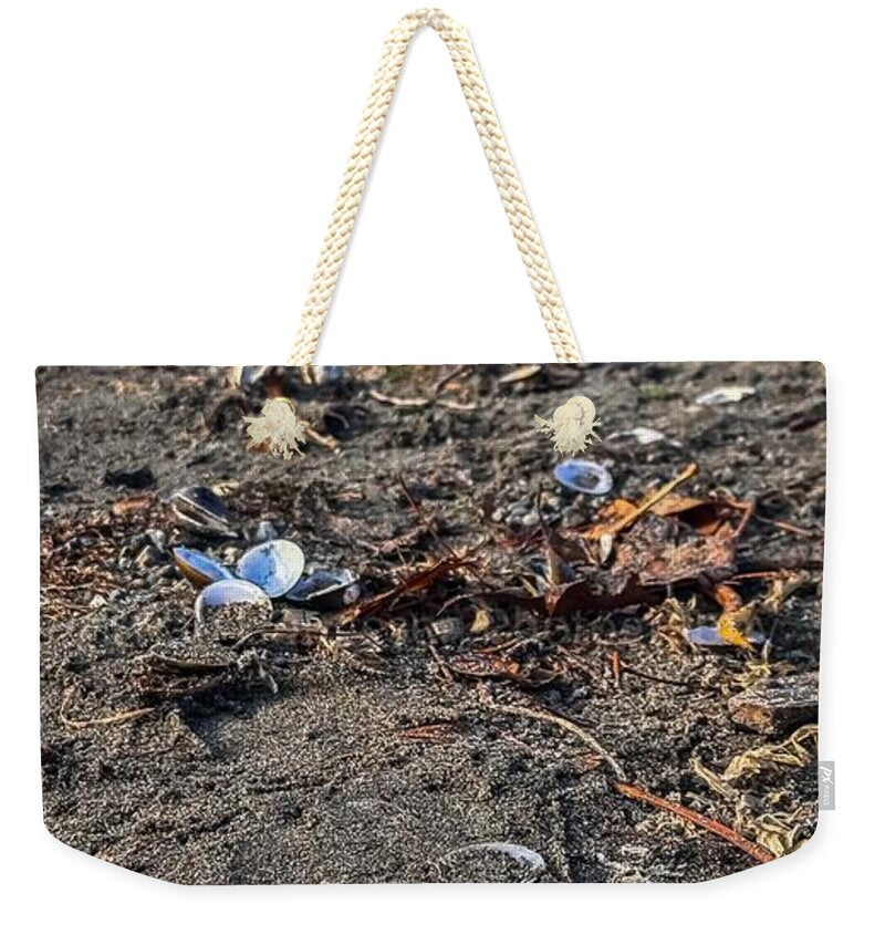 Seashells on the shoreline  - Weekender Tote Bag
