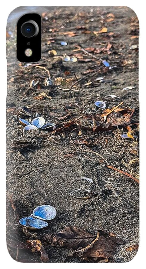 Seashells on the shoreline  - Phone Case