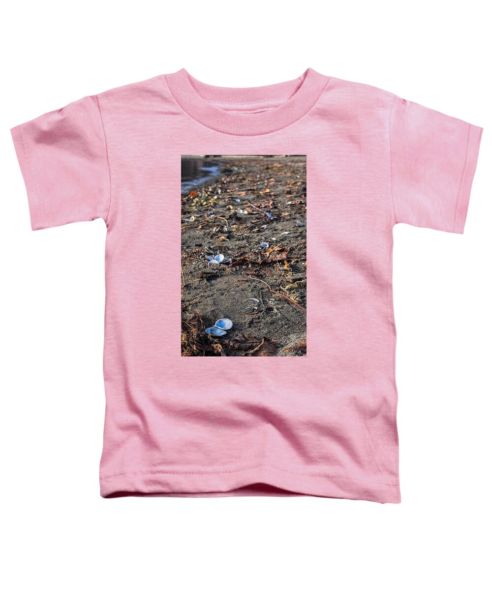 Seashells on the shoreline  - Toddler T-Shirt