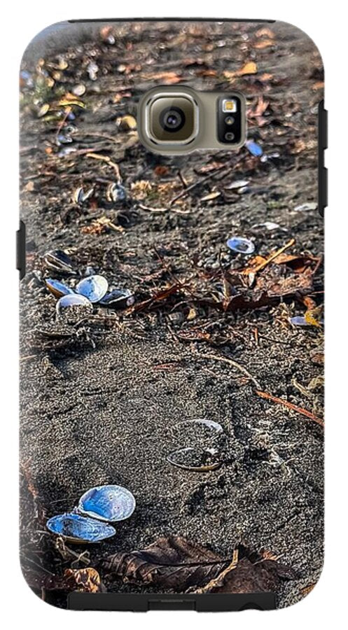 Seashells on the shoreline  - Phone Case