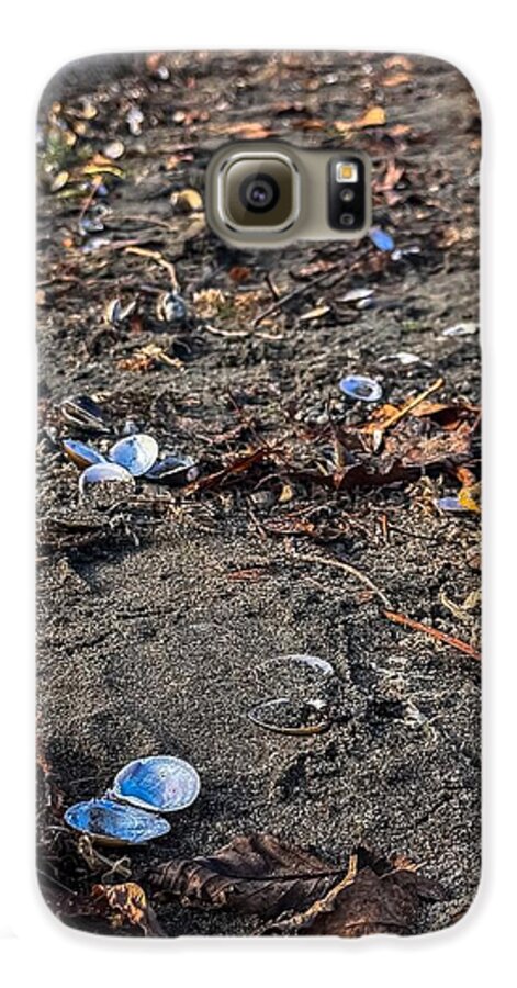 Seashells on the shoreline  - Phone Case