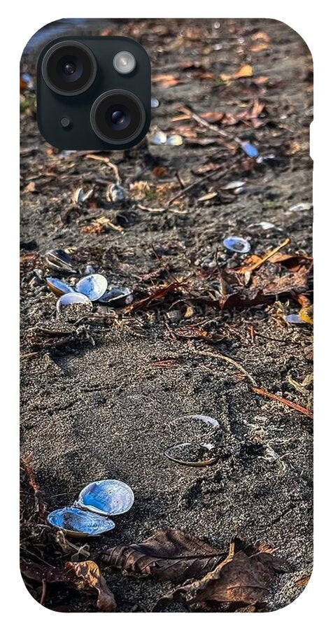 Seashells on the shoreline  - Phone Case