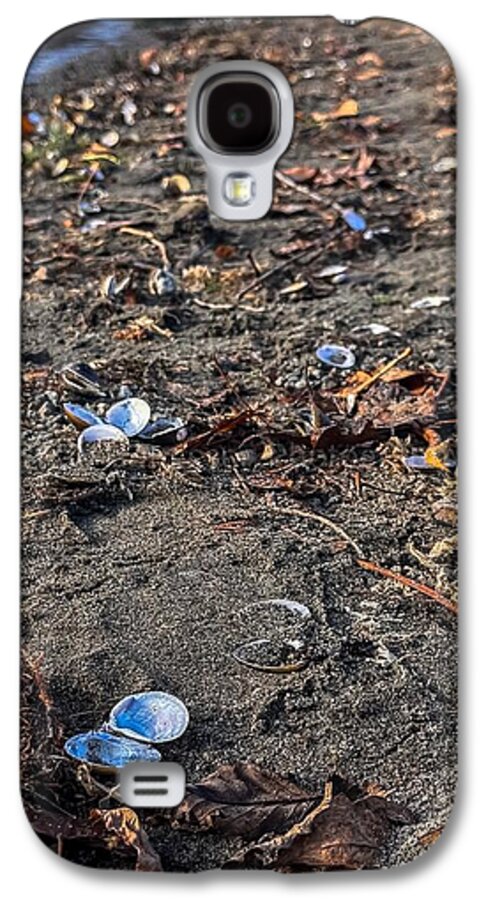 Seashells on the shoreline  - Phone Case