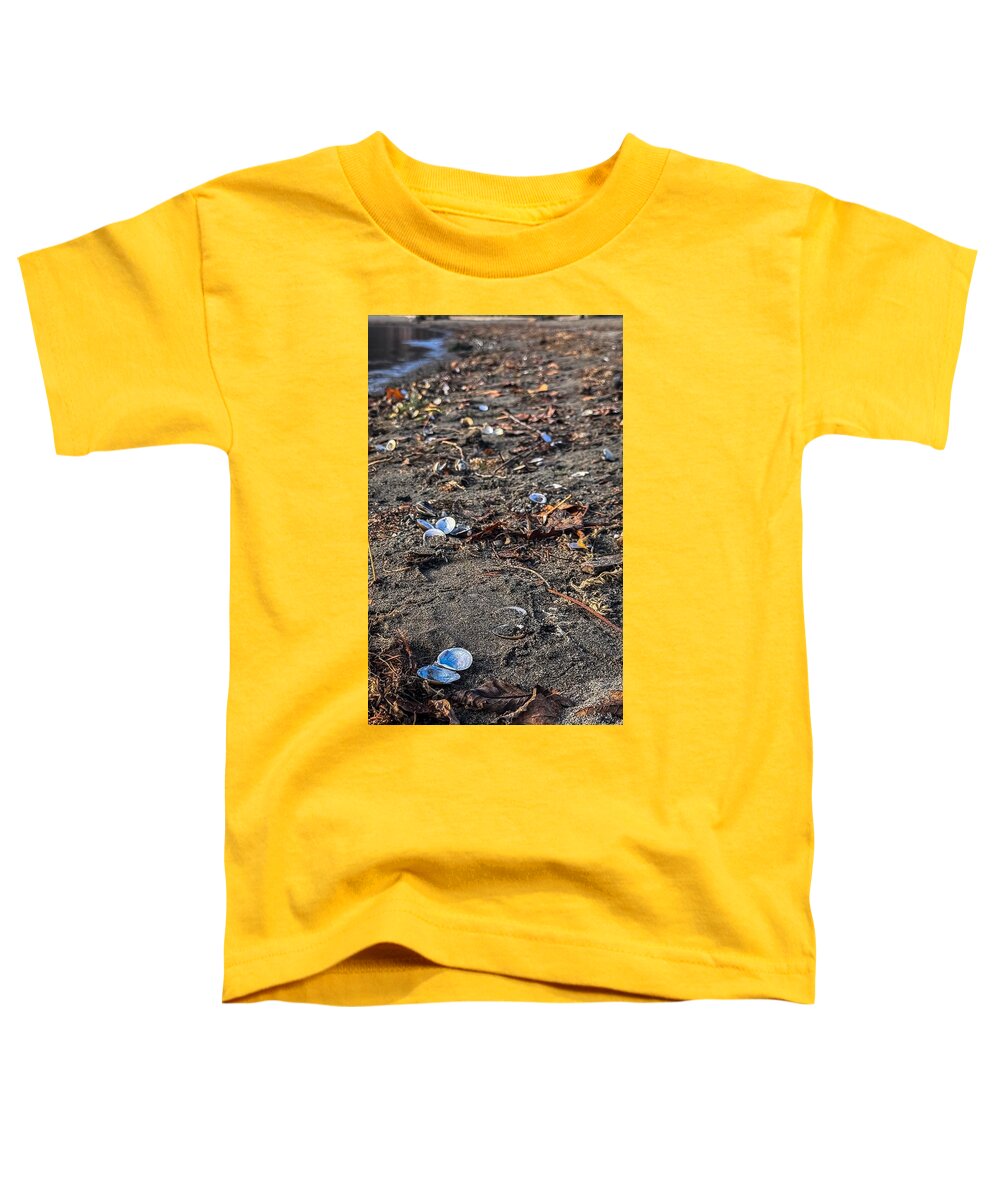 Seashells on the shoreline  - Toddler T-Shirt