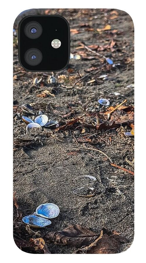 Seashells on the shoreline  - Phone Case