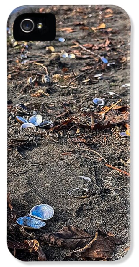 Seashells on the shoreline  - Phone Case