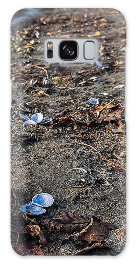 Seashells on the shoreline  - Phone Case