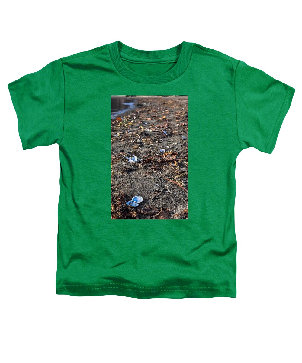Seashells on the shoreline  - Toddler T-Shirt