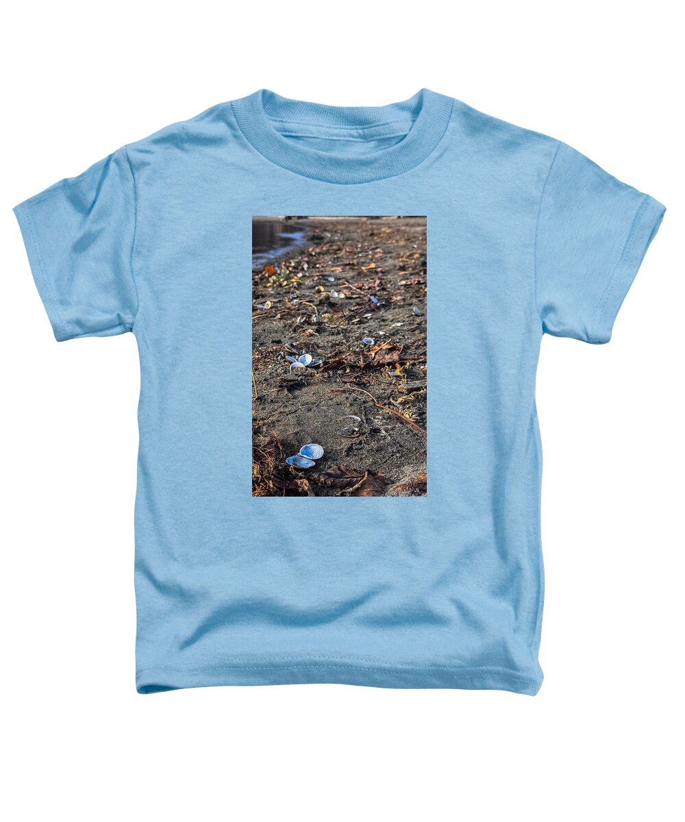 Seashells on the shoreline  - Toddler T-Shirt