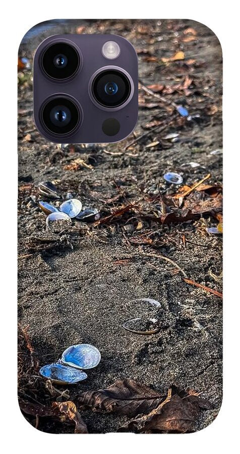 Seashells on the shoreline  - Phone Case