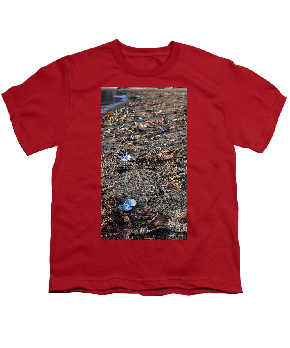 Seashells on the shoreline  - Youth T-Shirt