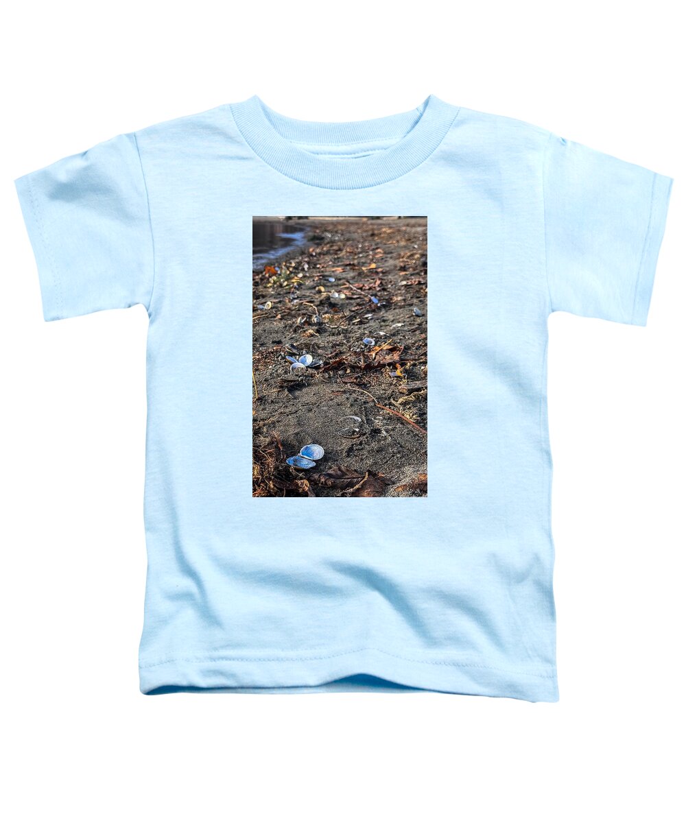 Seashells on the shoreline  - Toddler T-Shirt