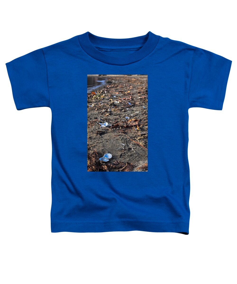 Seashells on the shoreline  - Toddler T-Shirt