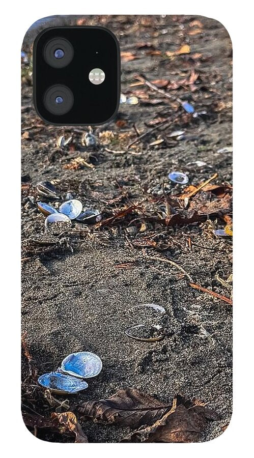 Seashells on the shoreline  - Phone Case