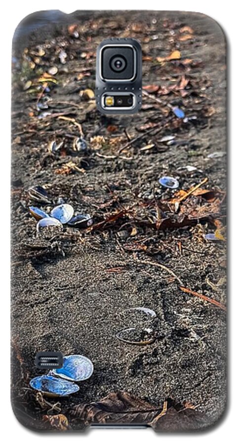 Seashells on the shoreline  - Phone Case