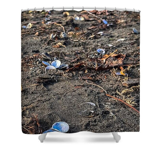 Seashells on the shoreline  - Shower Curtain
