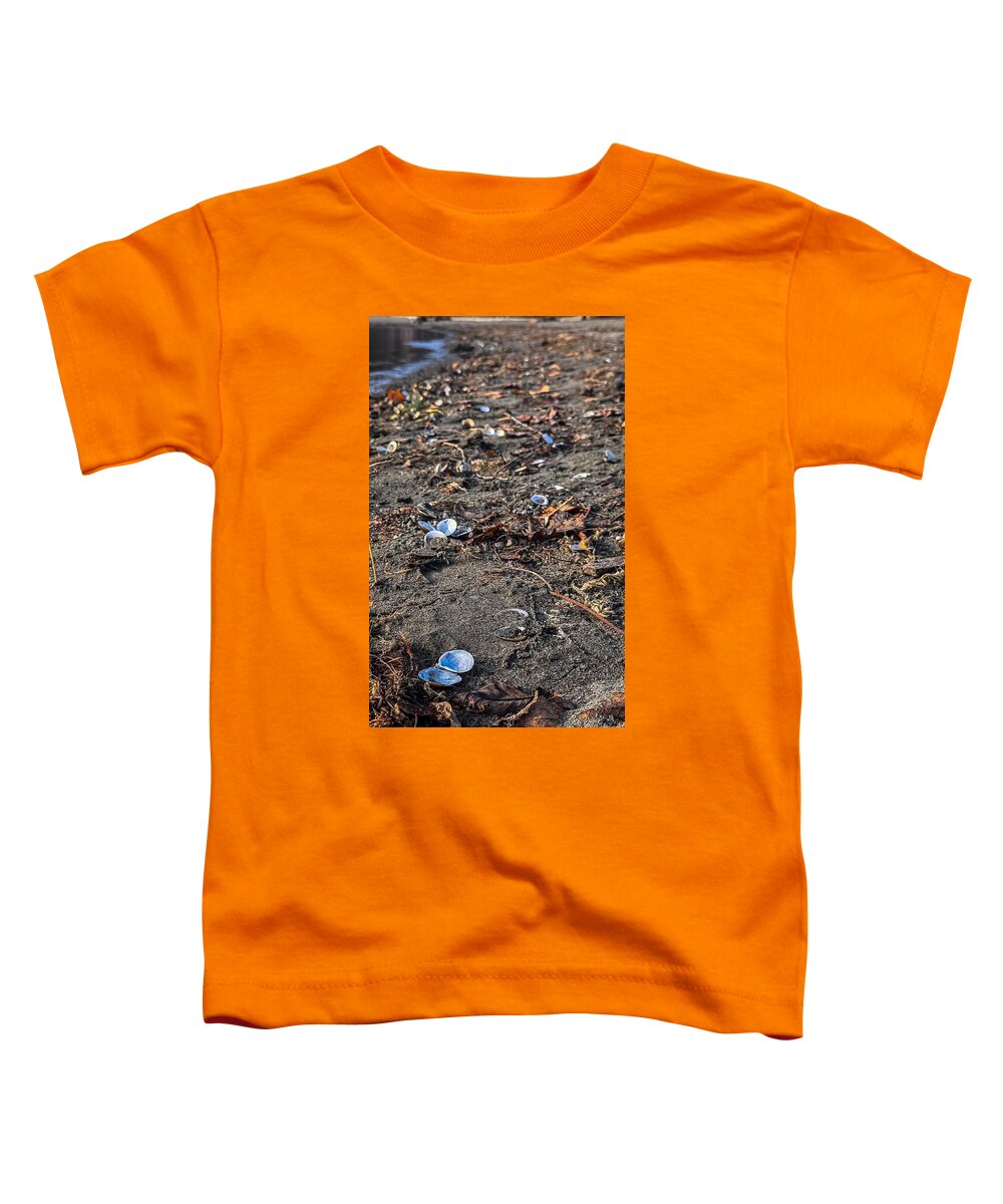 Seashells on the shoreline  - Toddler T-Shirt