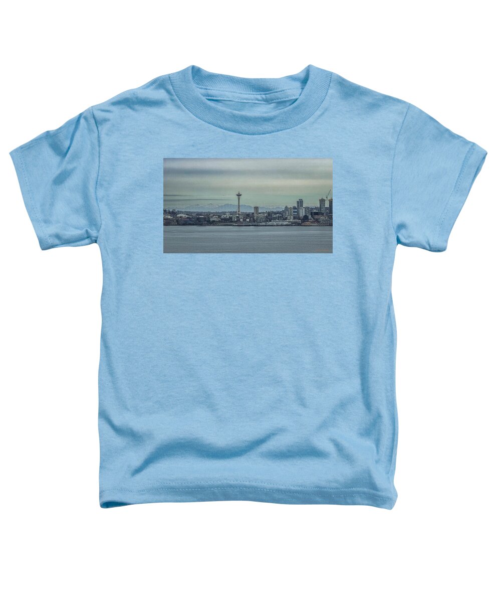 Seattle sky line  - Toddler T-Shirt