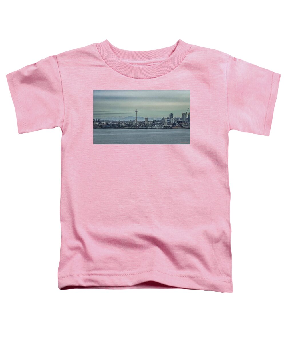 Seattle sky line  - Toddler T-Shirt