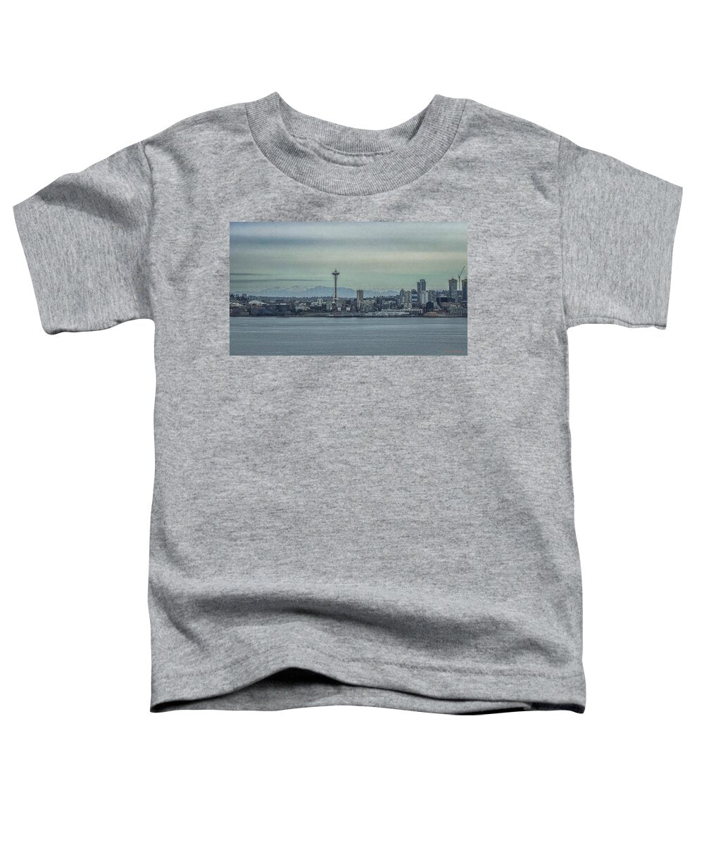 Seattle sky line  - Toddler T-Shirt