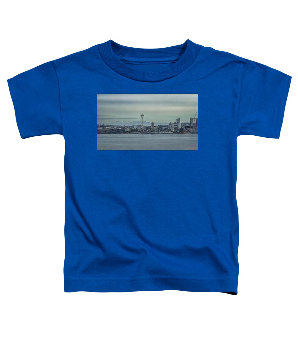 Seattle sky line  - Toddler T-Shirt