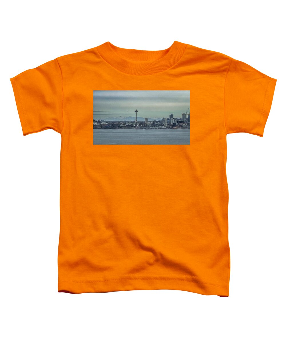 Seattle sky line  - Toddler T-Shirt