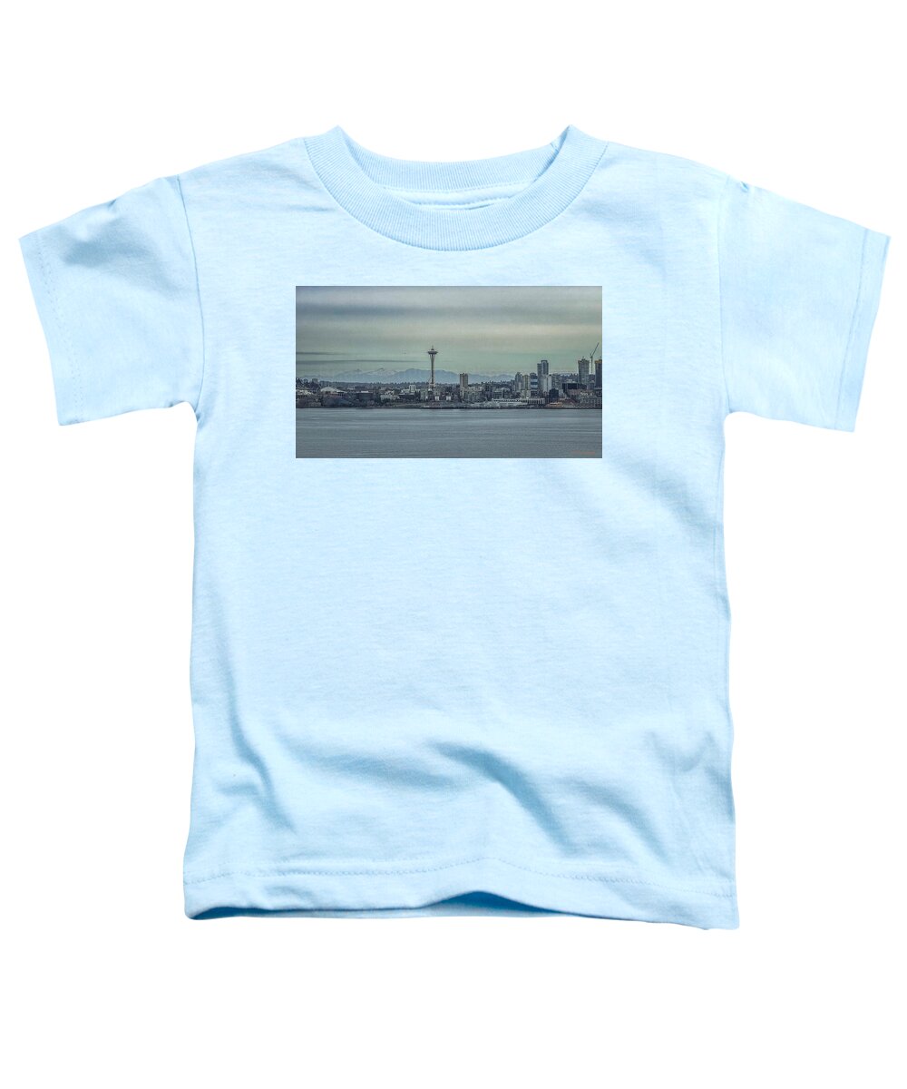 Seattle sky line  - Toddler T-Shirt