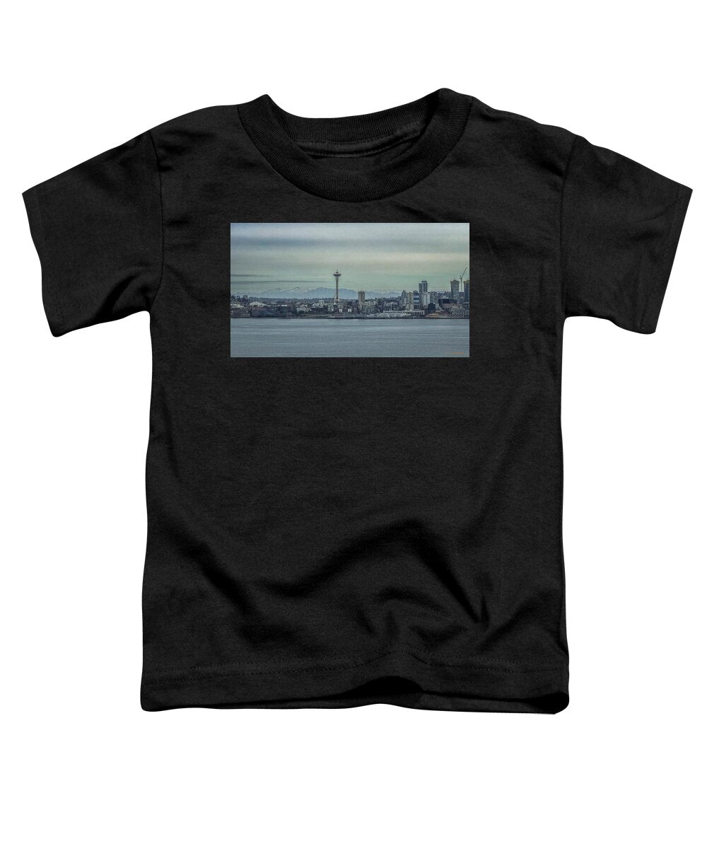Seattle sky line  - Toddler T-Shirt