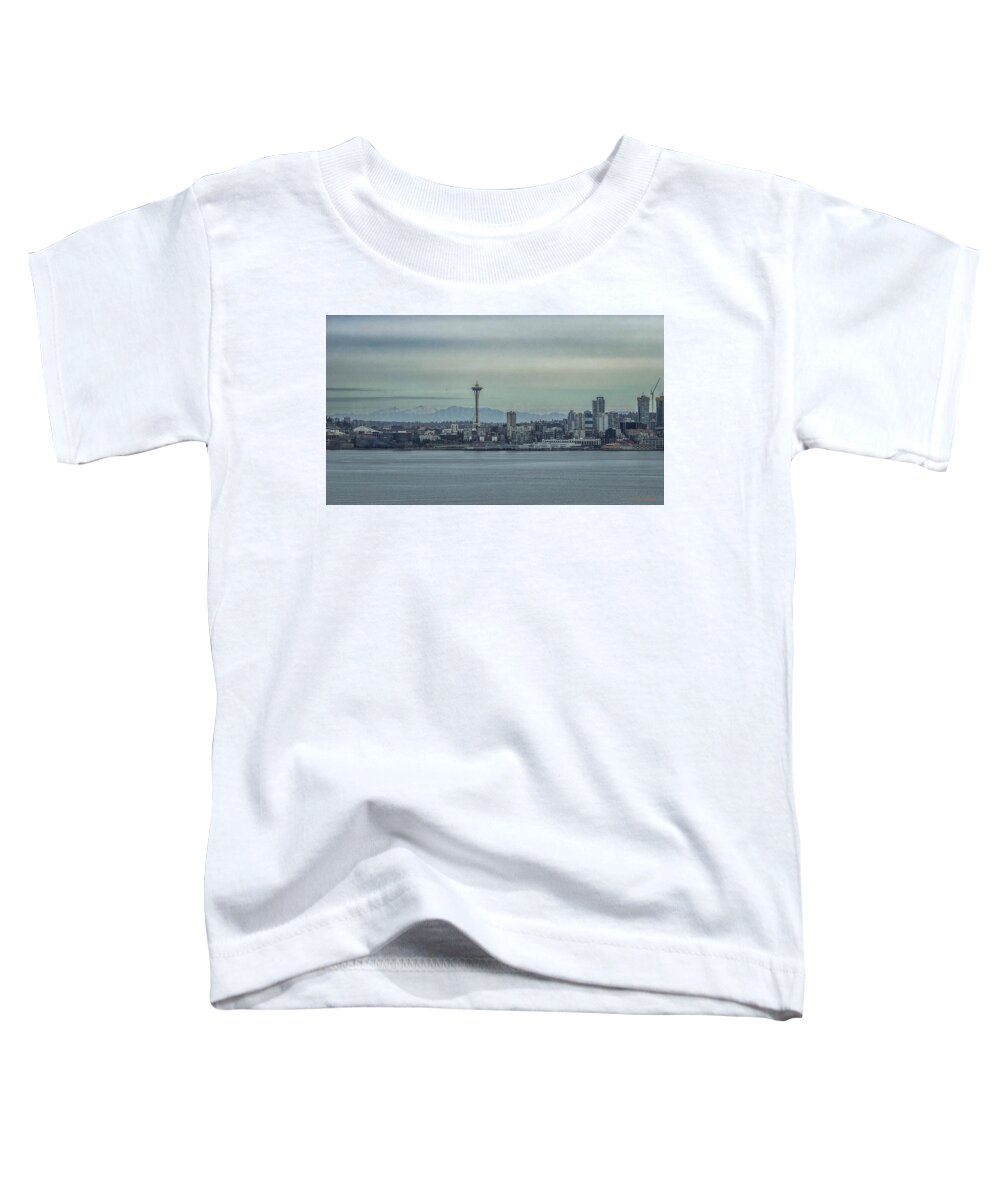 Seattle sky line  - Toddler T-Shirt