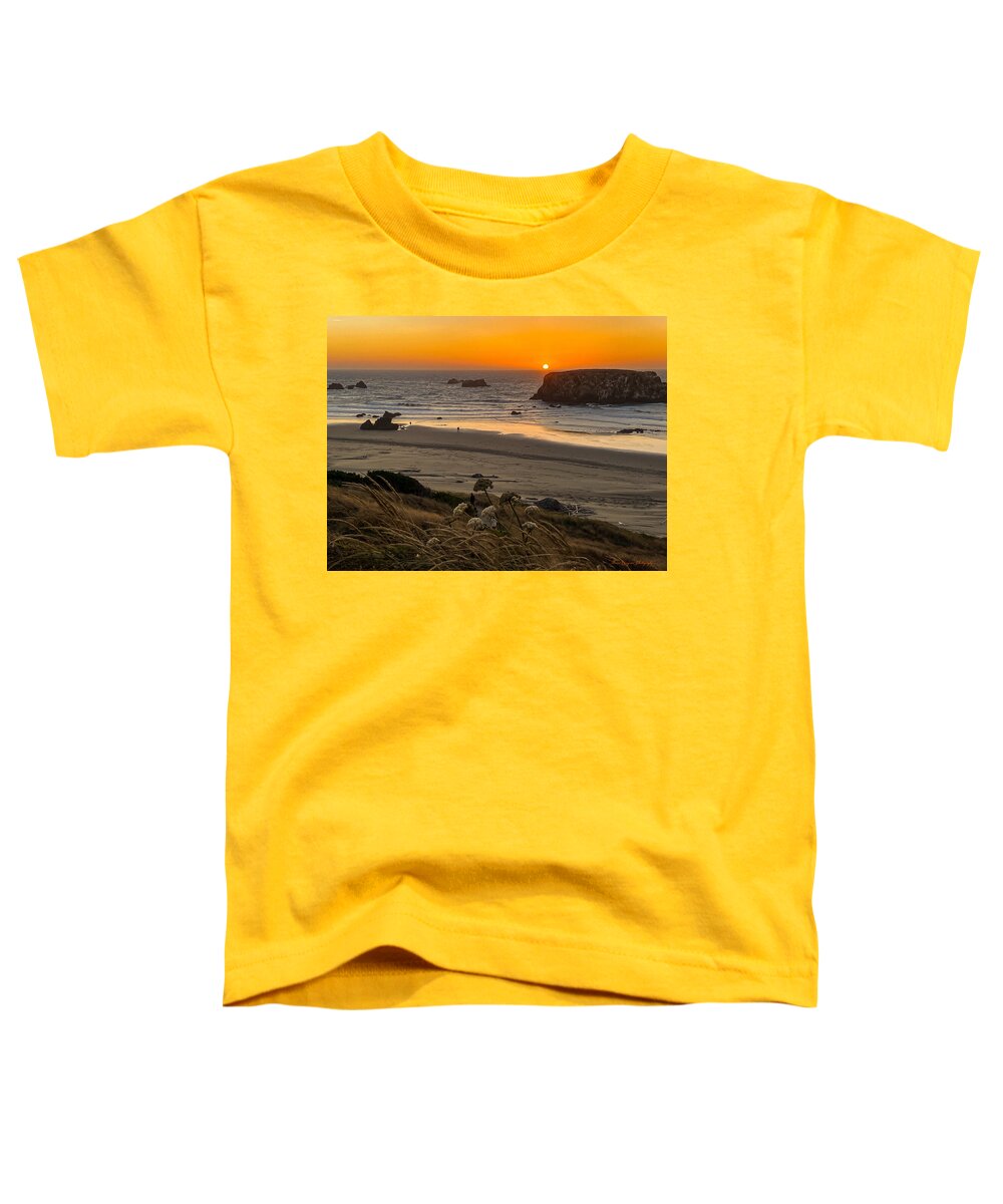 Sunset 4 - Toddler T-Shirt