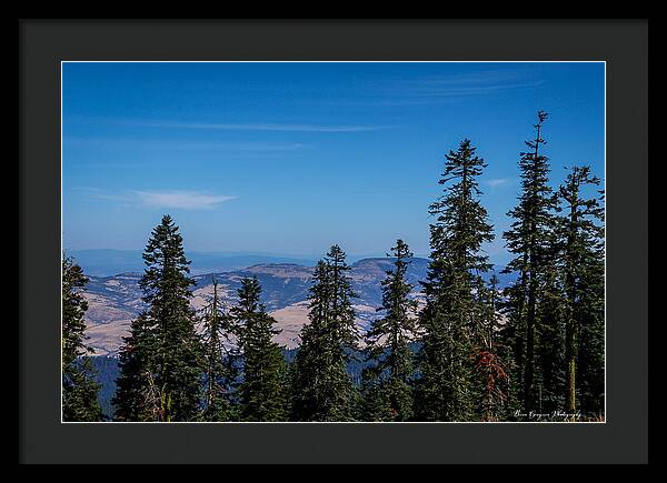 Threw the trees  - Framed Print
