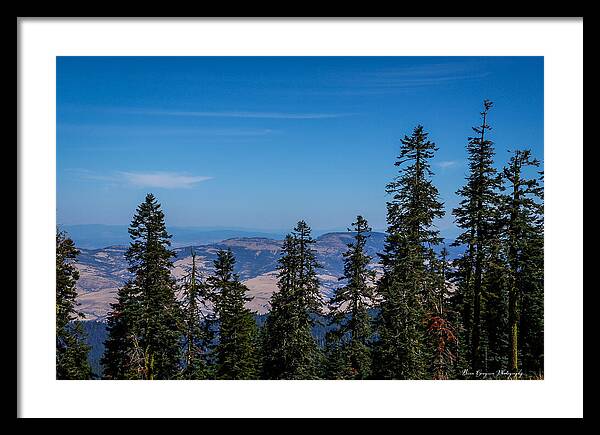 Threw the trees  - Framed Print