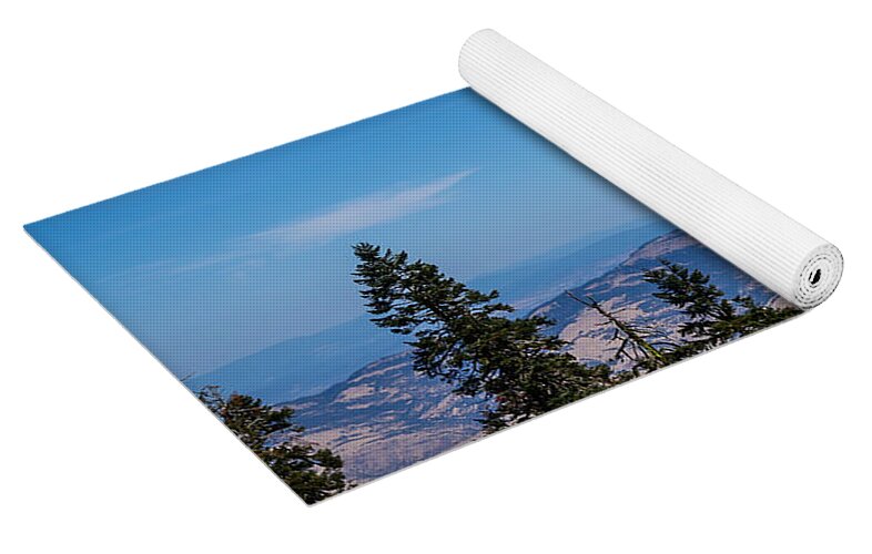 Threw the trees  - Yoga Mat